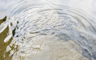 Klimawandel: Sinkende Grundwasserspiegel drohen