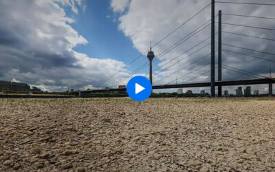 TV-Tipp zur Wasserknappheit in Deutschland: SWR-Doku “Die große Dürre”