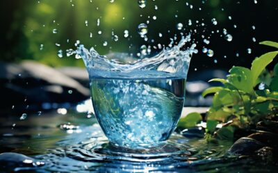 Wasser: Die lebenswichtige Rolle in unserem Körper