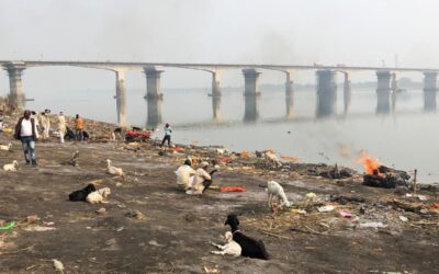 Kampf für die Reinheit des Ganges
